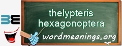 WordMeaning blackboard for thelypteris hexagonoptera